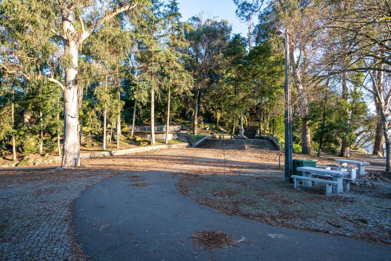 Quinta Das Lamas - Antiga Adega Vouzela Bagian luar foto