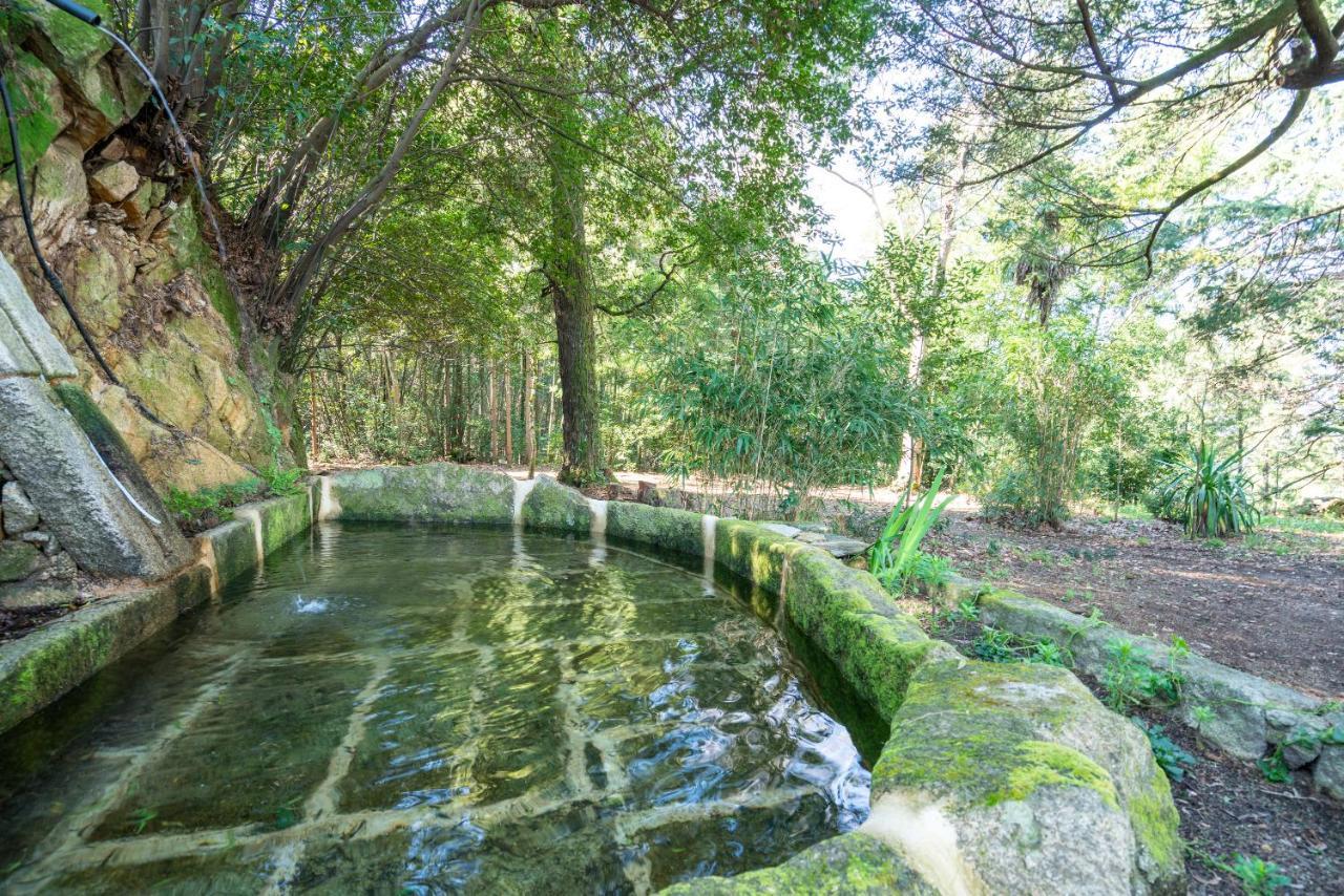Quinta Das Lamas - Antiga Adega Vouzela Bagian luar foto