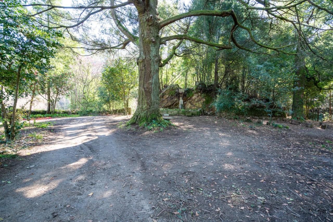 Quinta Das Lamas - Antiga Adega Vouzela Bagian luar foto