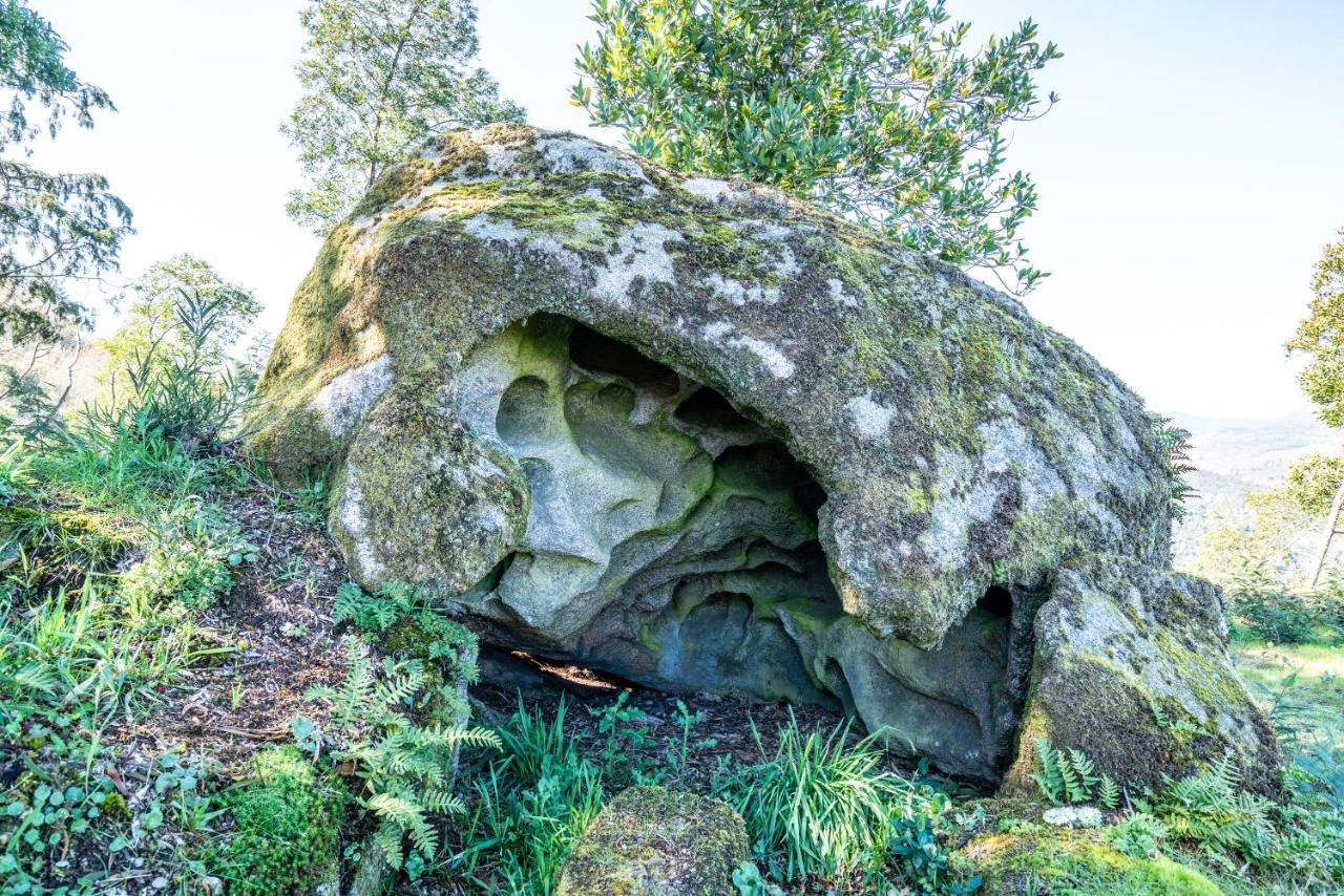 Quinta Das Lamas - Antiga Adega Vouzela Bagian luar foto