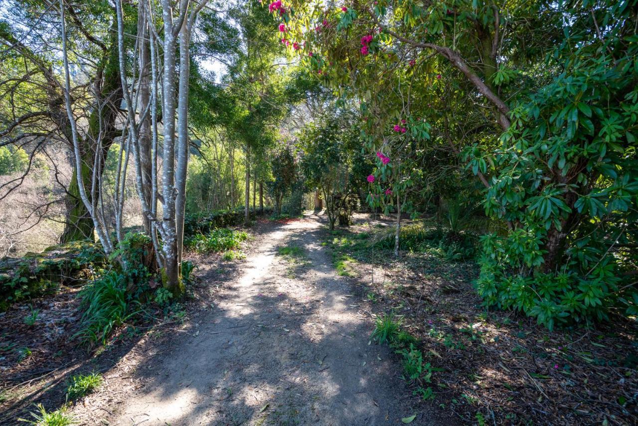 Quinta Das Lamas - Antiga Adega Vouzela Bagian luar foto