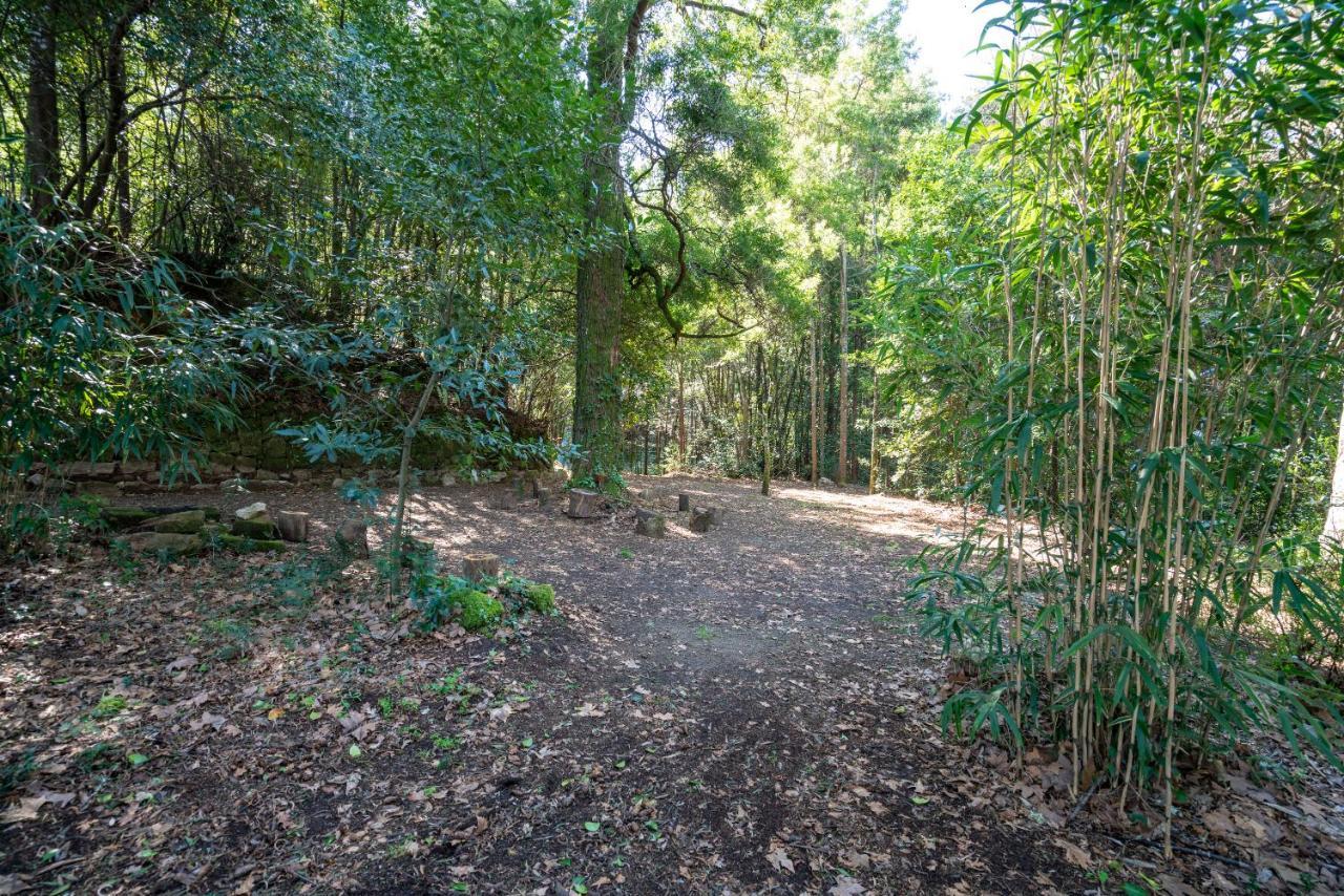 Quinta Das Lamas - Antiga Adega Vouzela Bagian luar foto