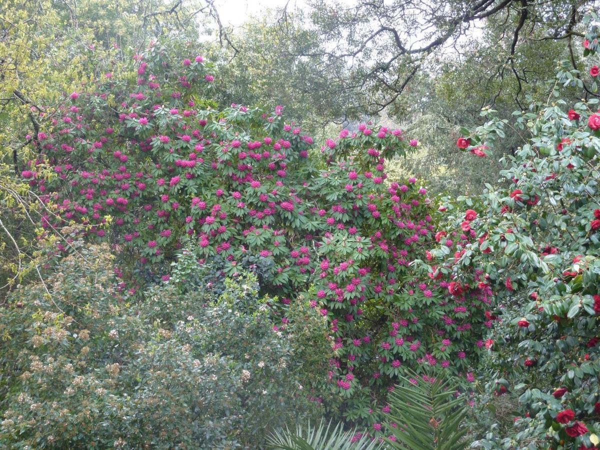 Quinta Das Lamas - Antiga Adega Vouzela Bagian luar foto